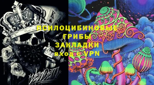 дмт Сосновый Бор