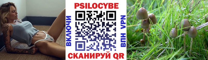 Купить где  Ирбит  Галлюциногенные грибы Cubensis 